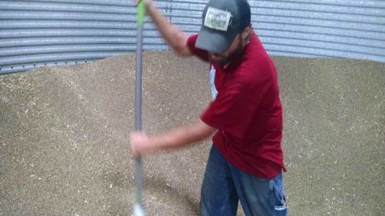 Seed Bin